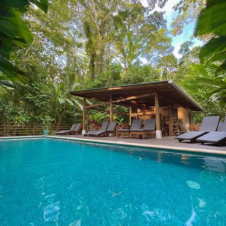 Satta Lodge (Adults Only) Puerto Viejo de Talamanca 외부 사진