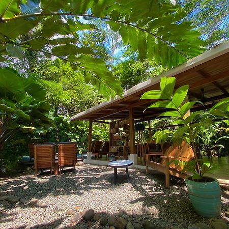 Satta Lodge (Adults Only) Puerto Viejo de Talamanca 외부 사진