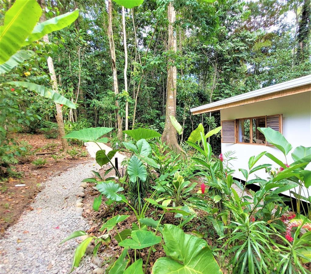 Satta Lodge (Adults Only) Puerto Viejo de Talamanca 외부 사진