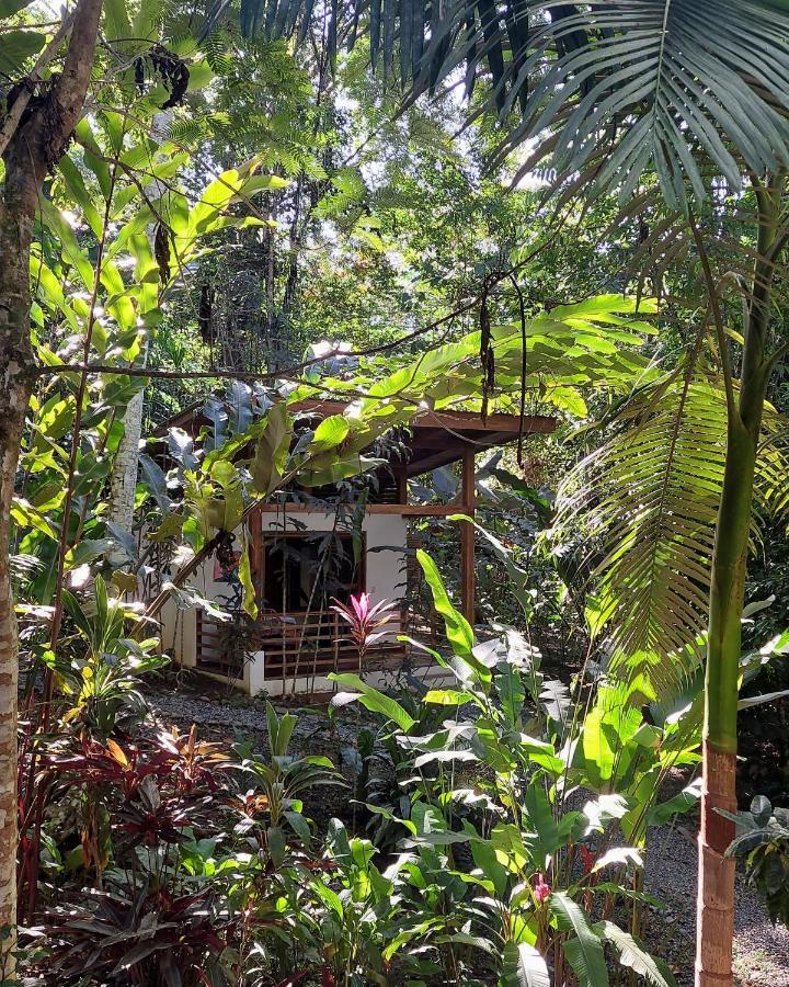 Satta Lodge (Adults Only) Puerto Viejo de Talamanca 외부 사진