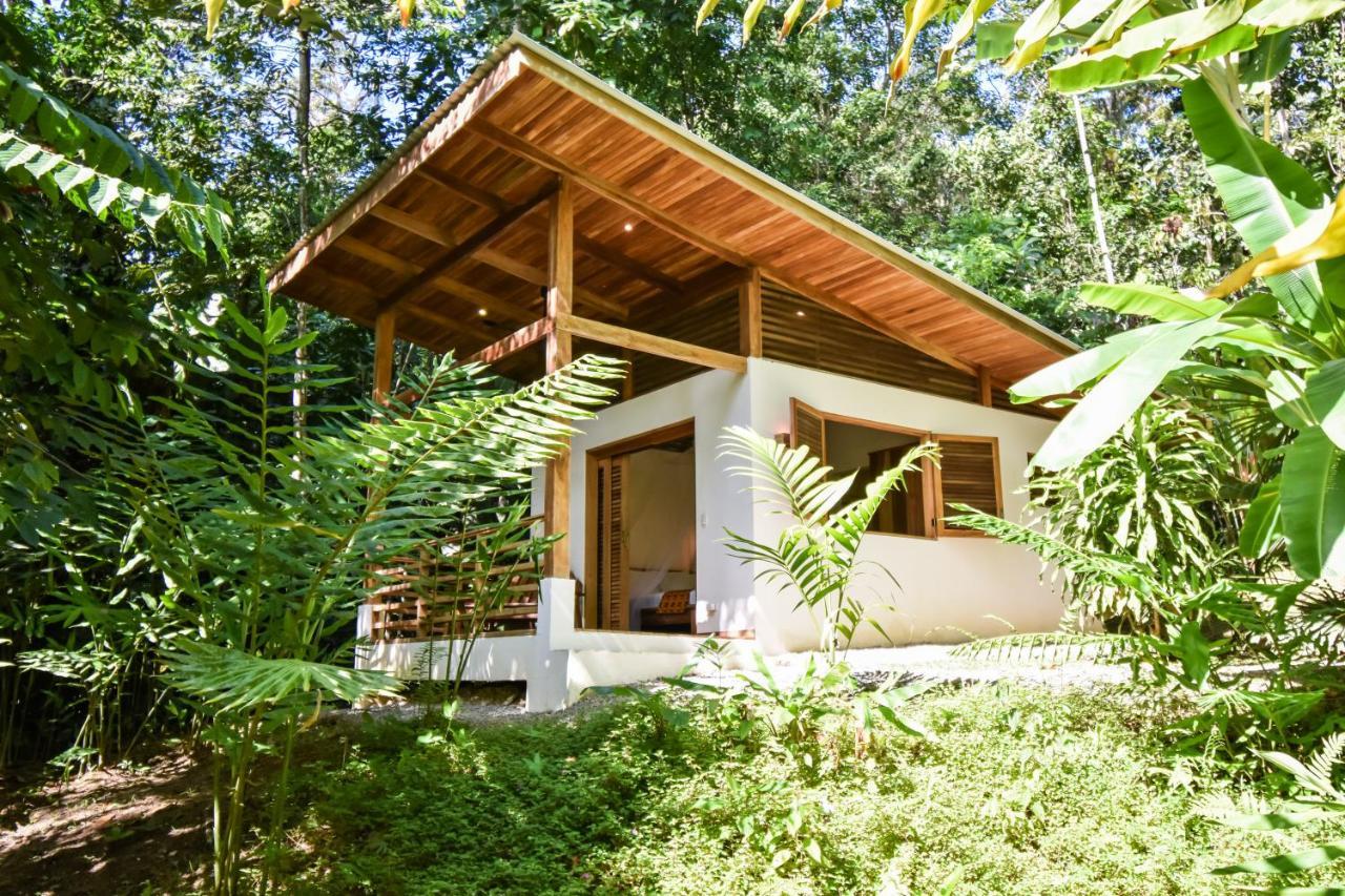 Satta Lodge (Adults Only) Puerto Viejo de Talamanca 외부 사진