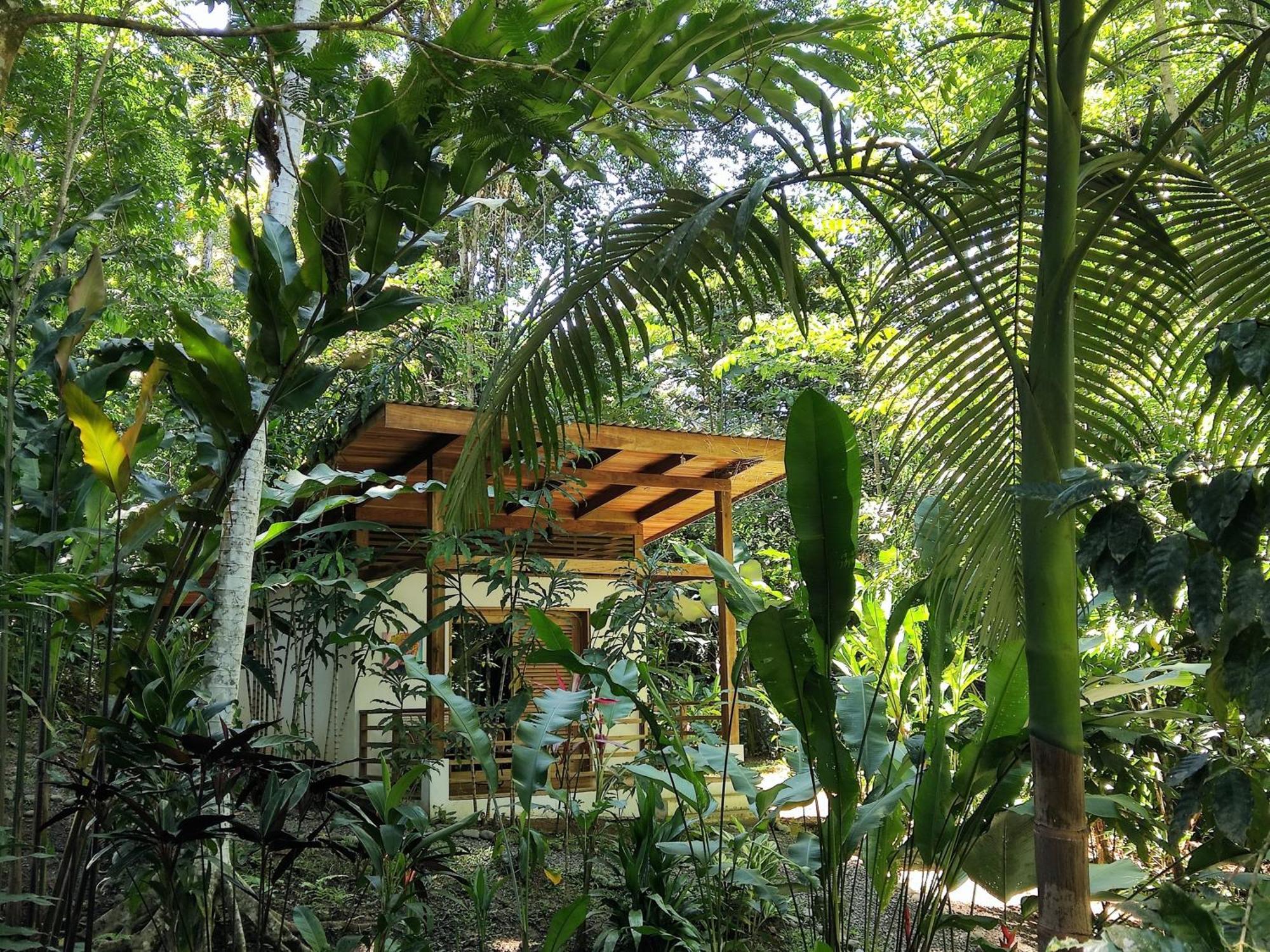 Satta Lodge (Adults Only) Puerto Viejo de Talamanca 객실 사진