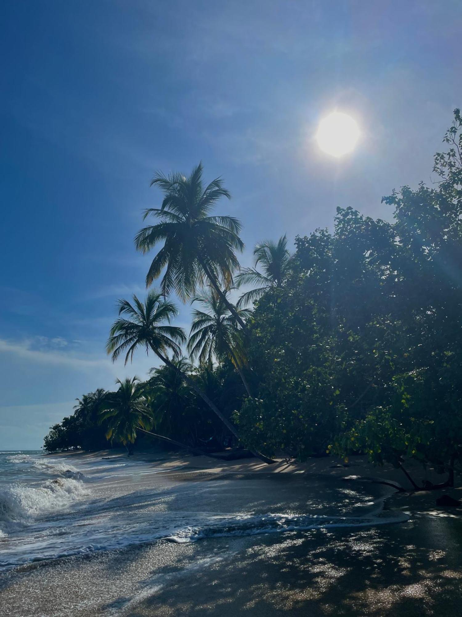 Satta Lodge (Adults Only) Puerto Viejo de Talamanca 외부 사진