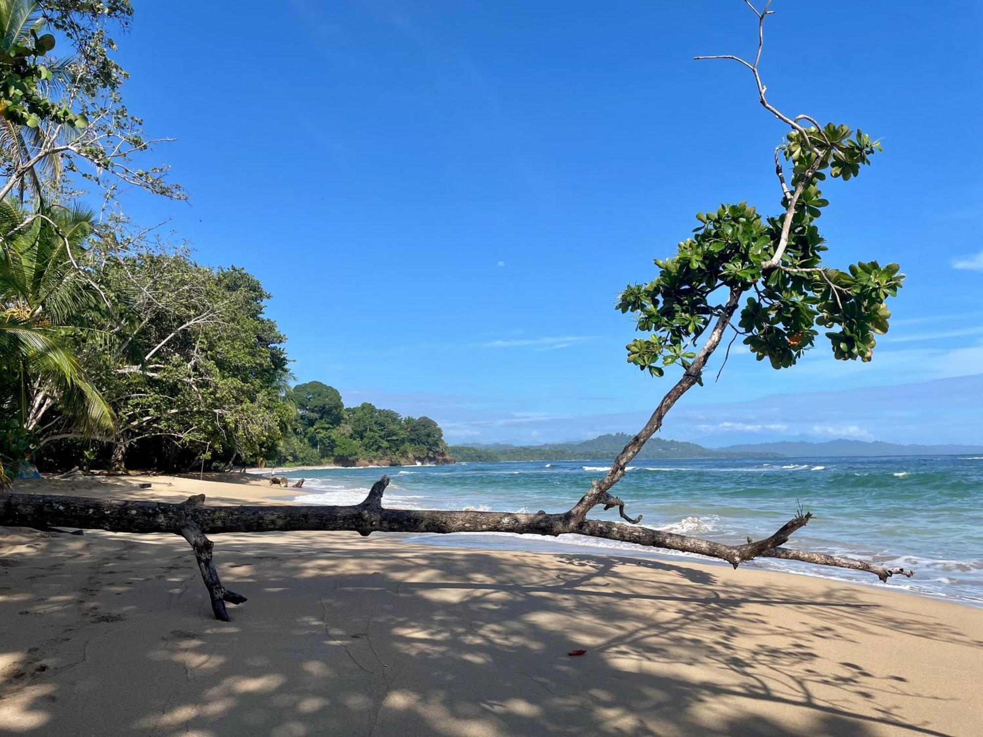 Satta Lodge (Adults Only) Puerto Viejo de Talamanca 외부 사진