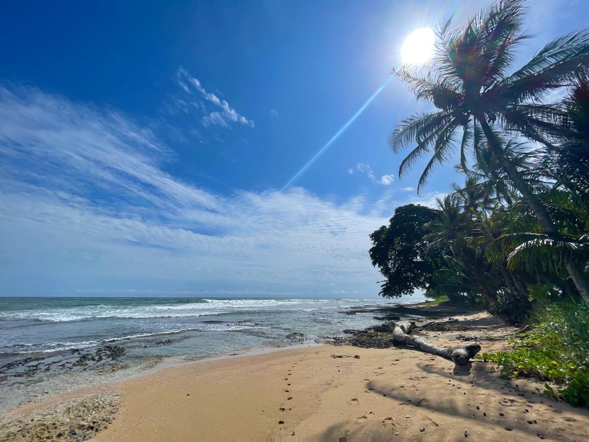 Satta Lodge (Adults Only) Puerto Viejo de Talamanca 외부 사진