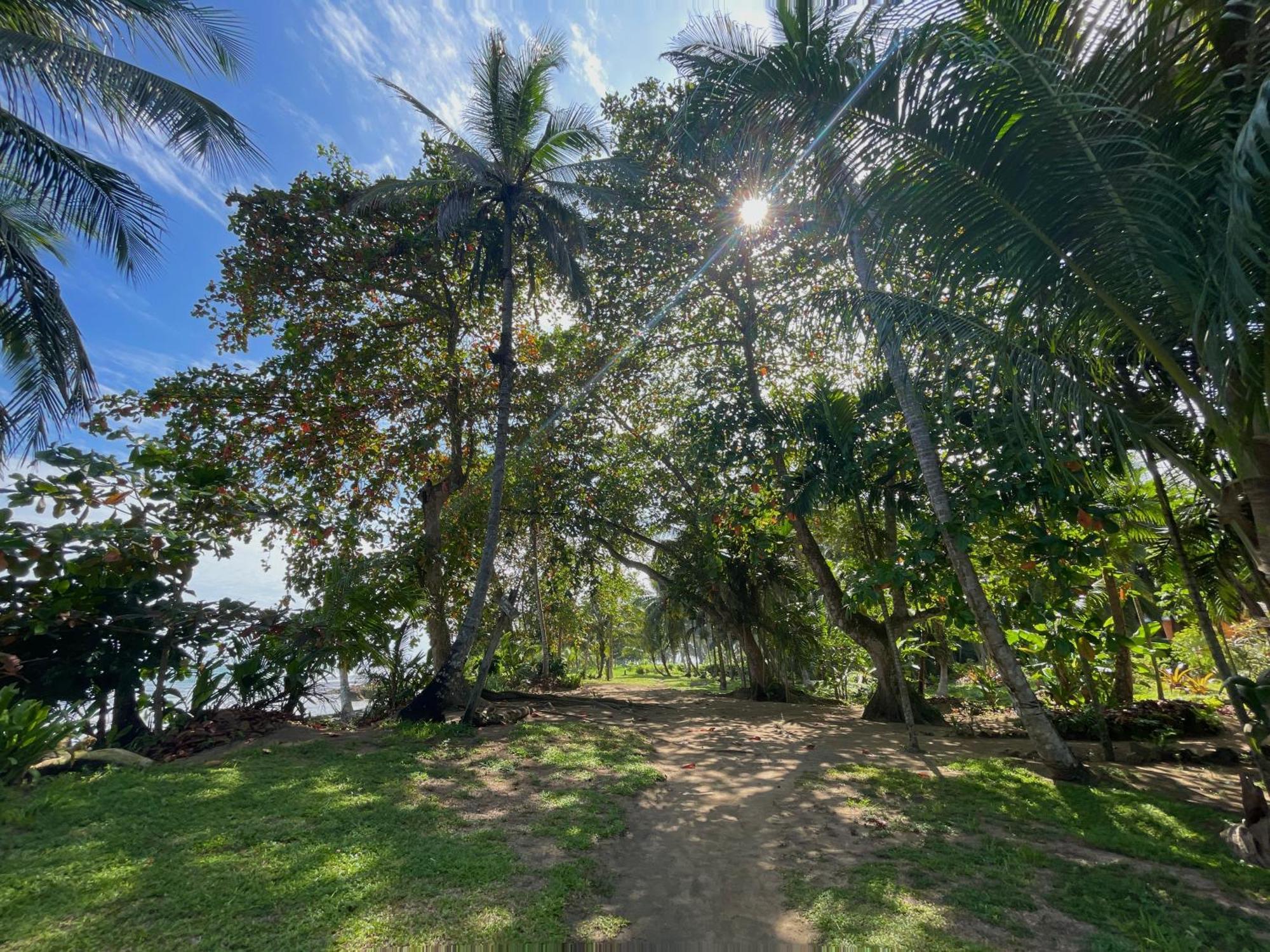 Satta Lodge (Adults Only) Puerto Viejo de Talamanca 외부 사진