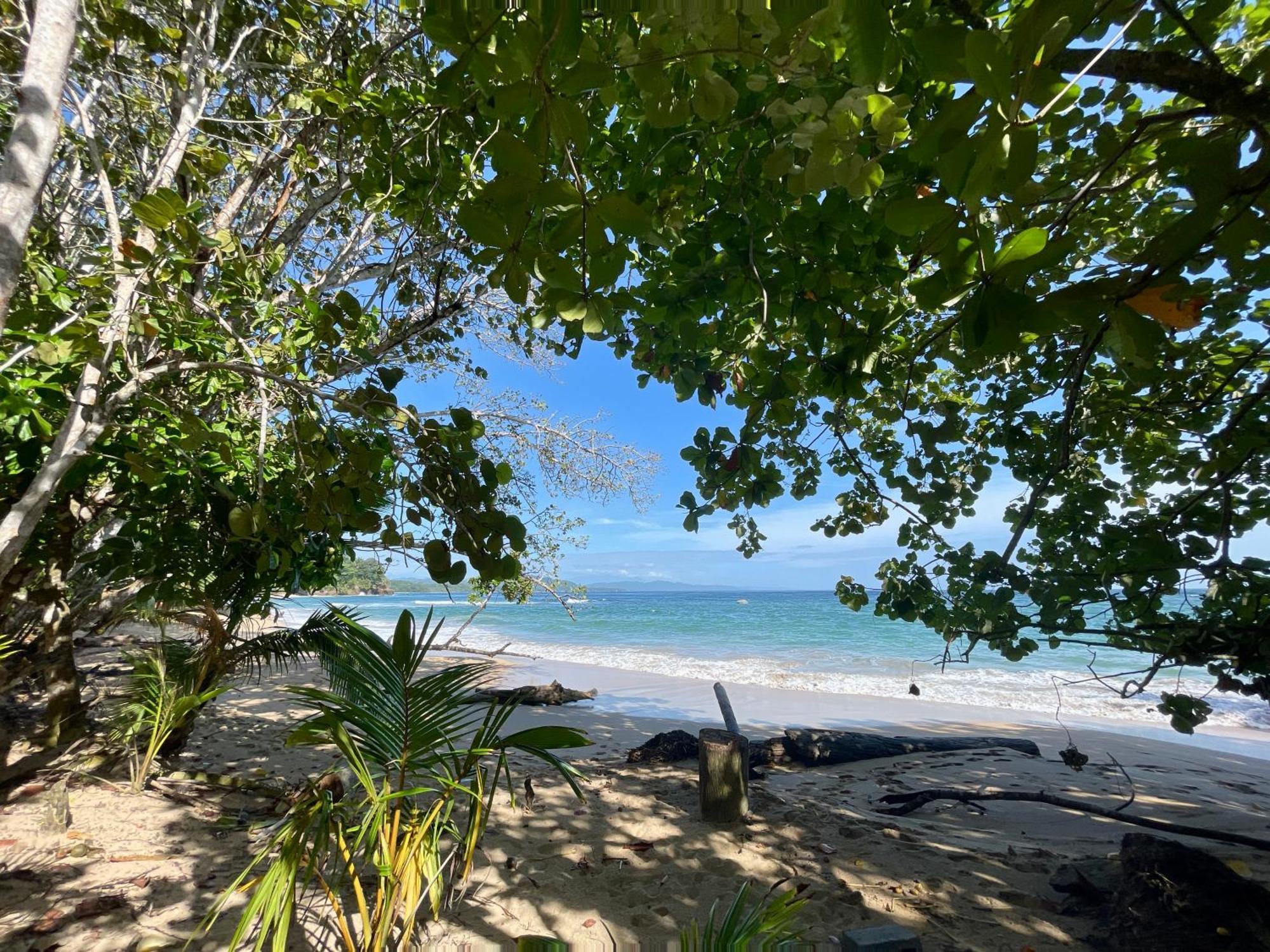 Satta Lodge (Adults Only) Puerto Viejo de Talamanca 외부 사진