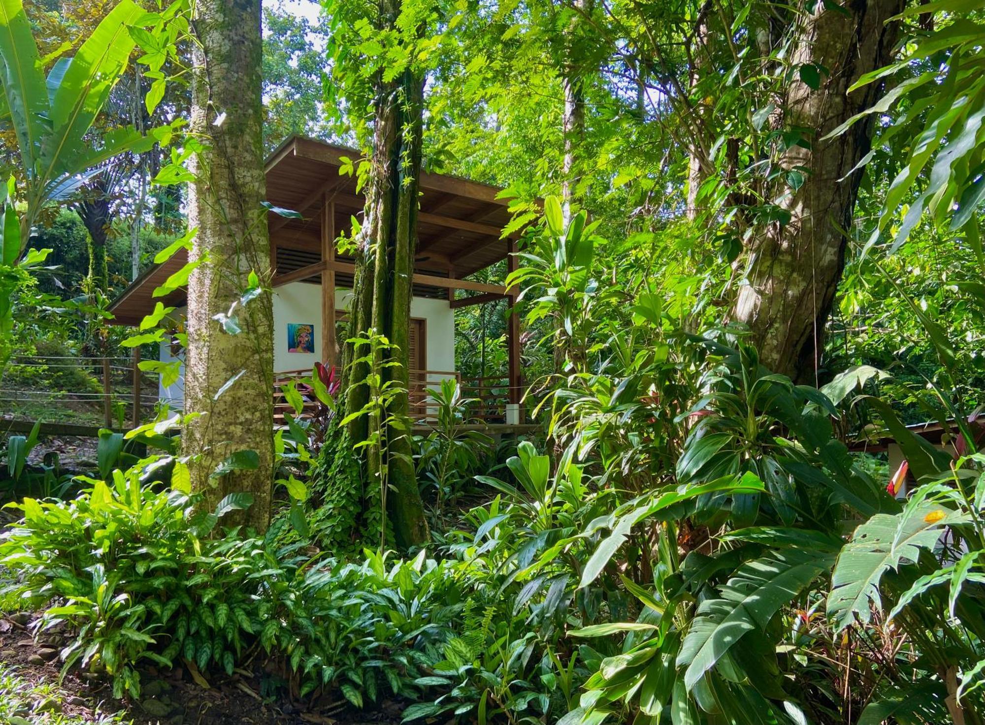 Satta Lodge (Adults Only) Puerto Viejo de Talamanca 외부 사진
