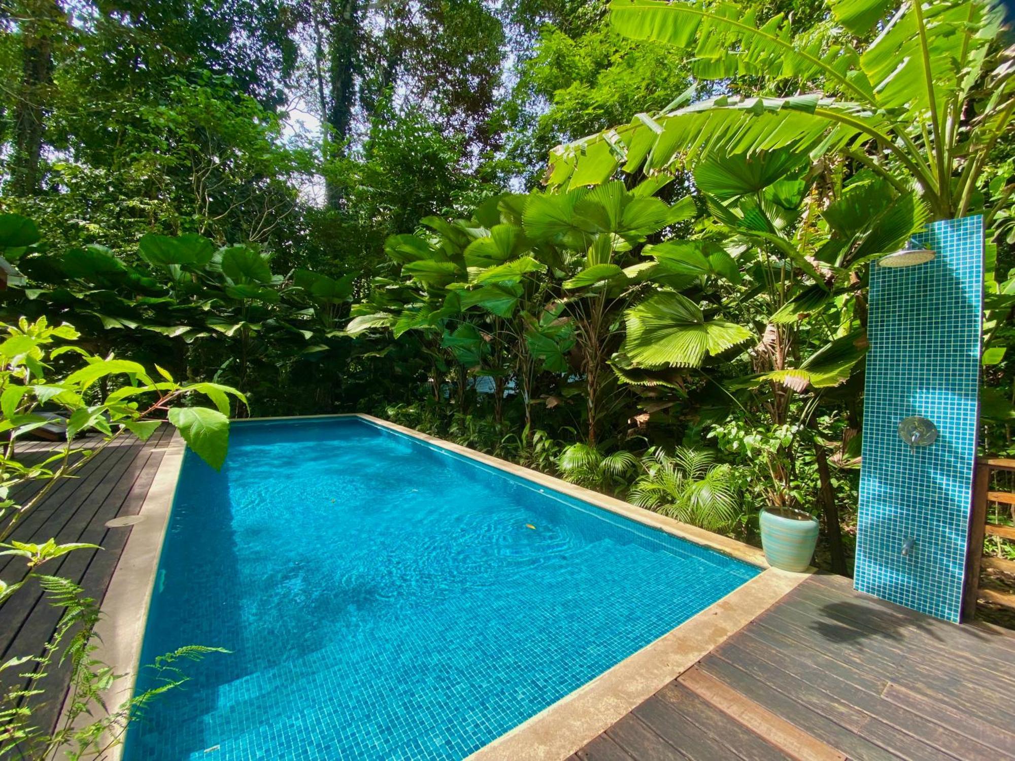 Satta Lodge (Adults Only) Puerto Viejo de Talamanca 외부 사진