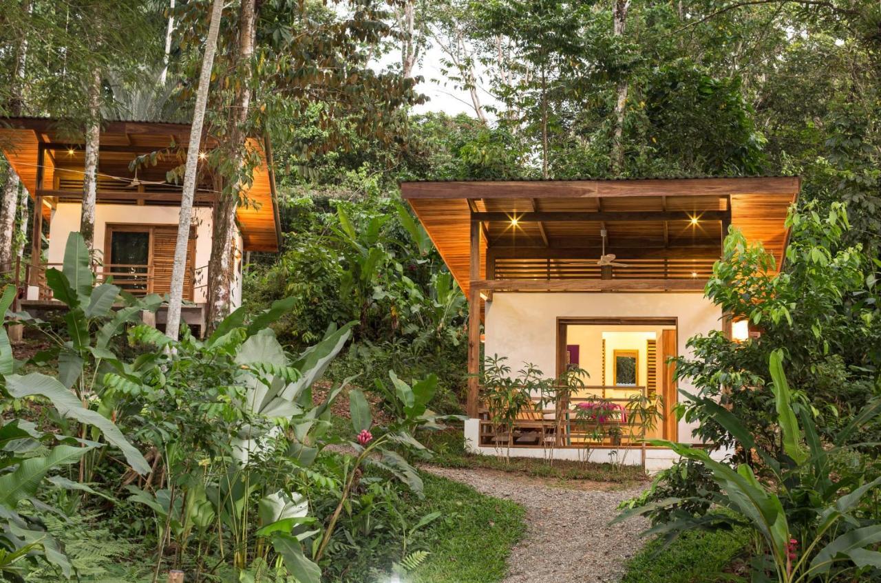 Satta Lodge (Adults Only) Puerto Viejo de Talamanca 외부 사진
